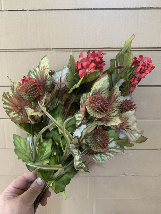 19in Sweetgum Bush x12