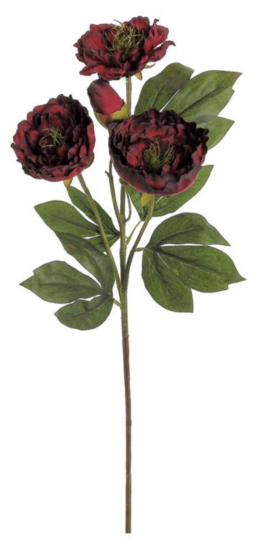 28in Open Peony x3 DEEP RED