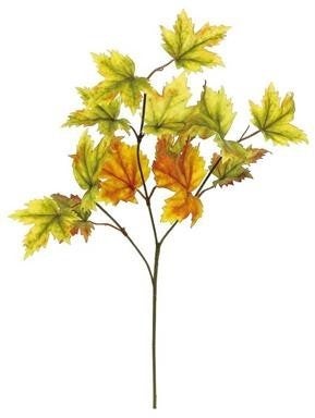 Maple Leaf Pick GOLD/GREEN