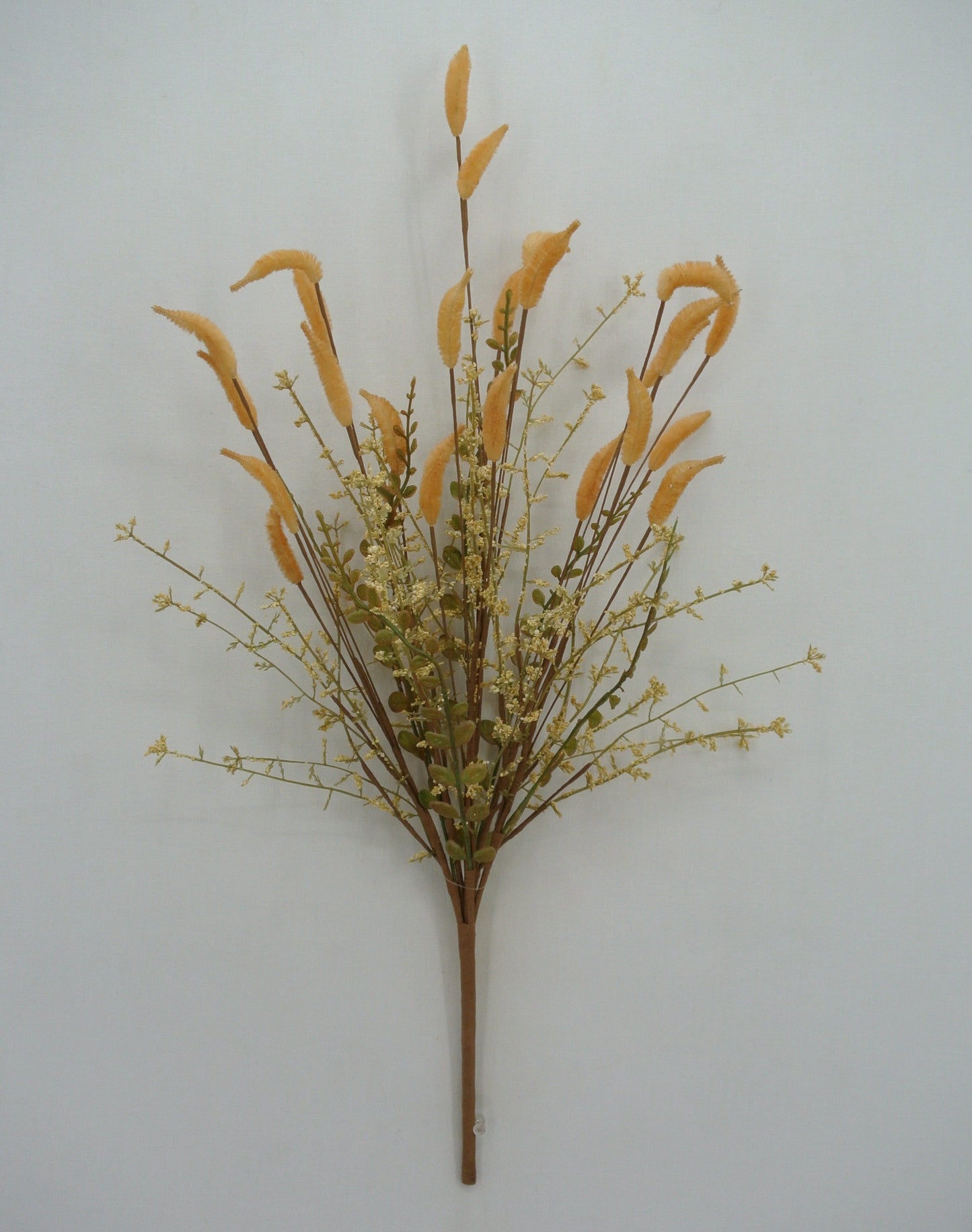 21in Salix Willow Bush